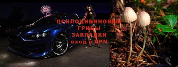 Альфа ПВП Аркадак