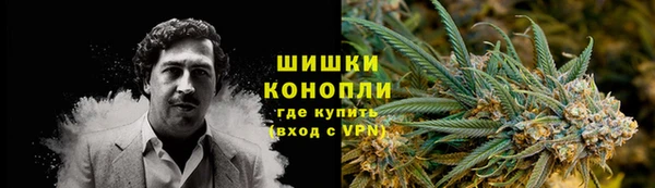 Альфа ПВП Аркадак
