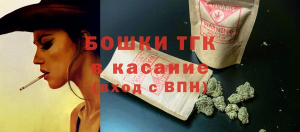 Альфа ПВП Аркадак