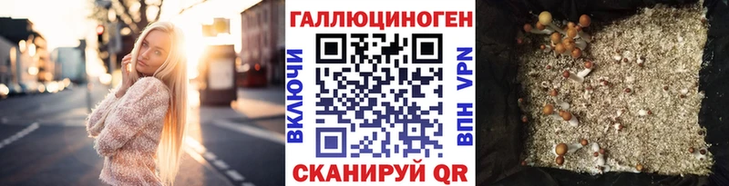 что такое   Озёры  Галлюциногенные грибы GOLDEN TEACHER 